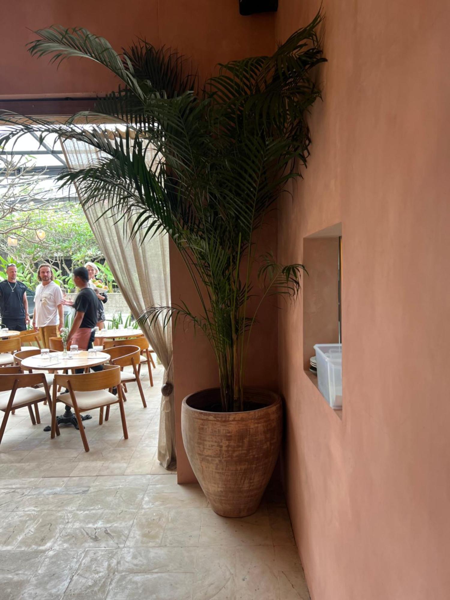 Grass Terrace Homestay Canggu Εξωτερικό φωτογραφία